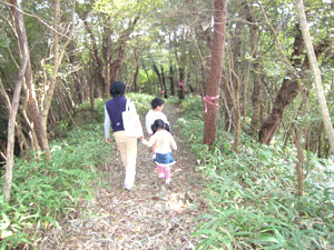 家族で森歩き