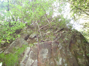 見上げる岩壁